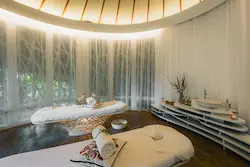 Terra Wellness Retreat